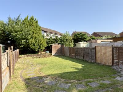Picture 24